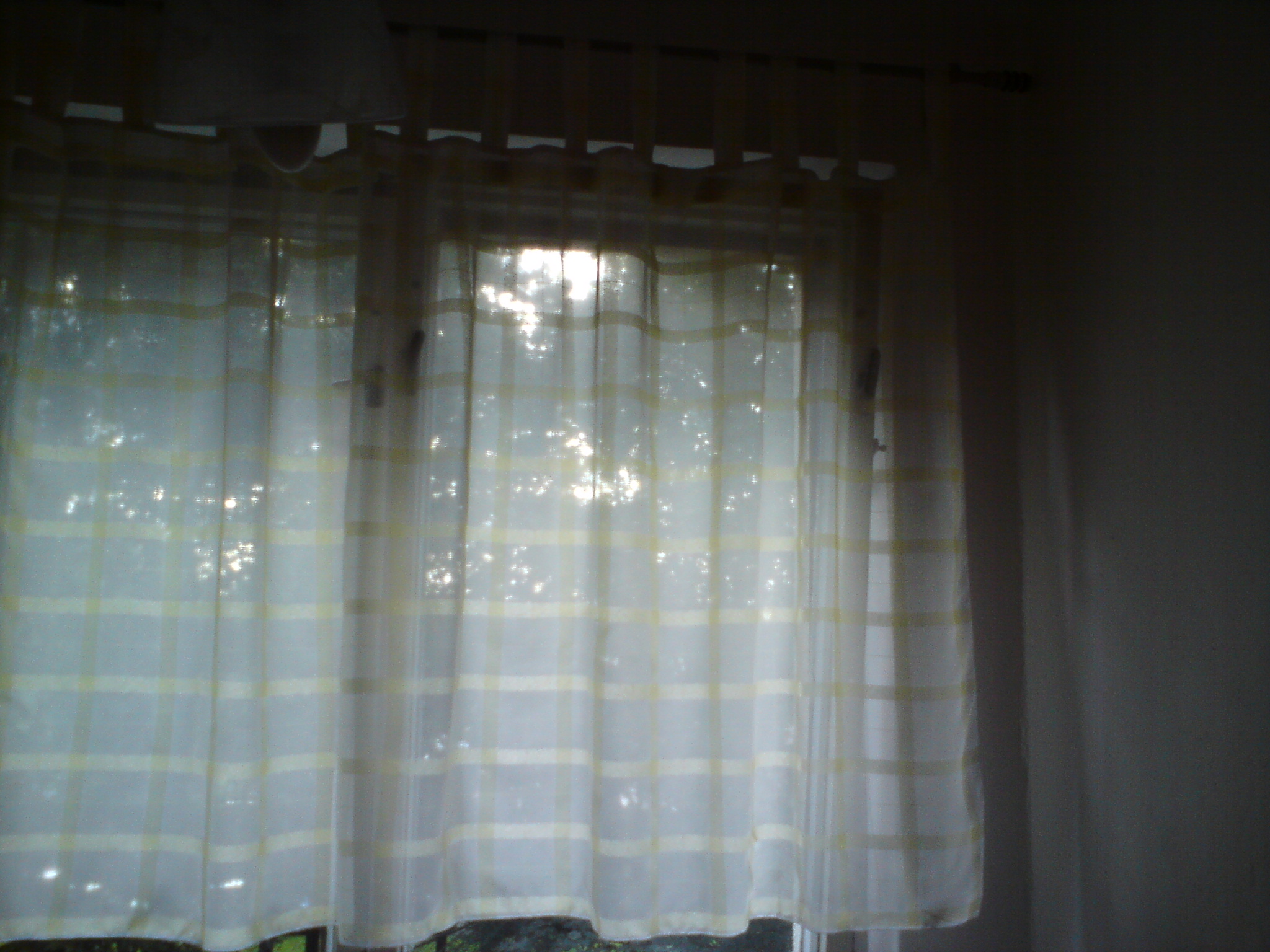 DSC00436.JPG